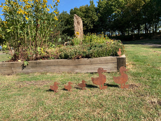 Ducks in a row - Corten