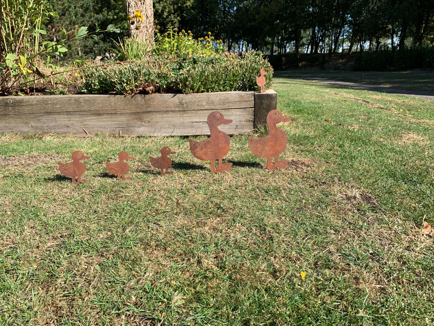 Ducks in a row - Corten