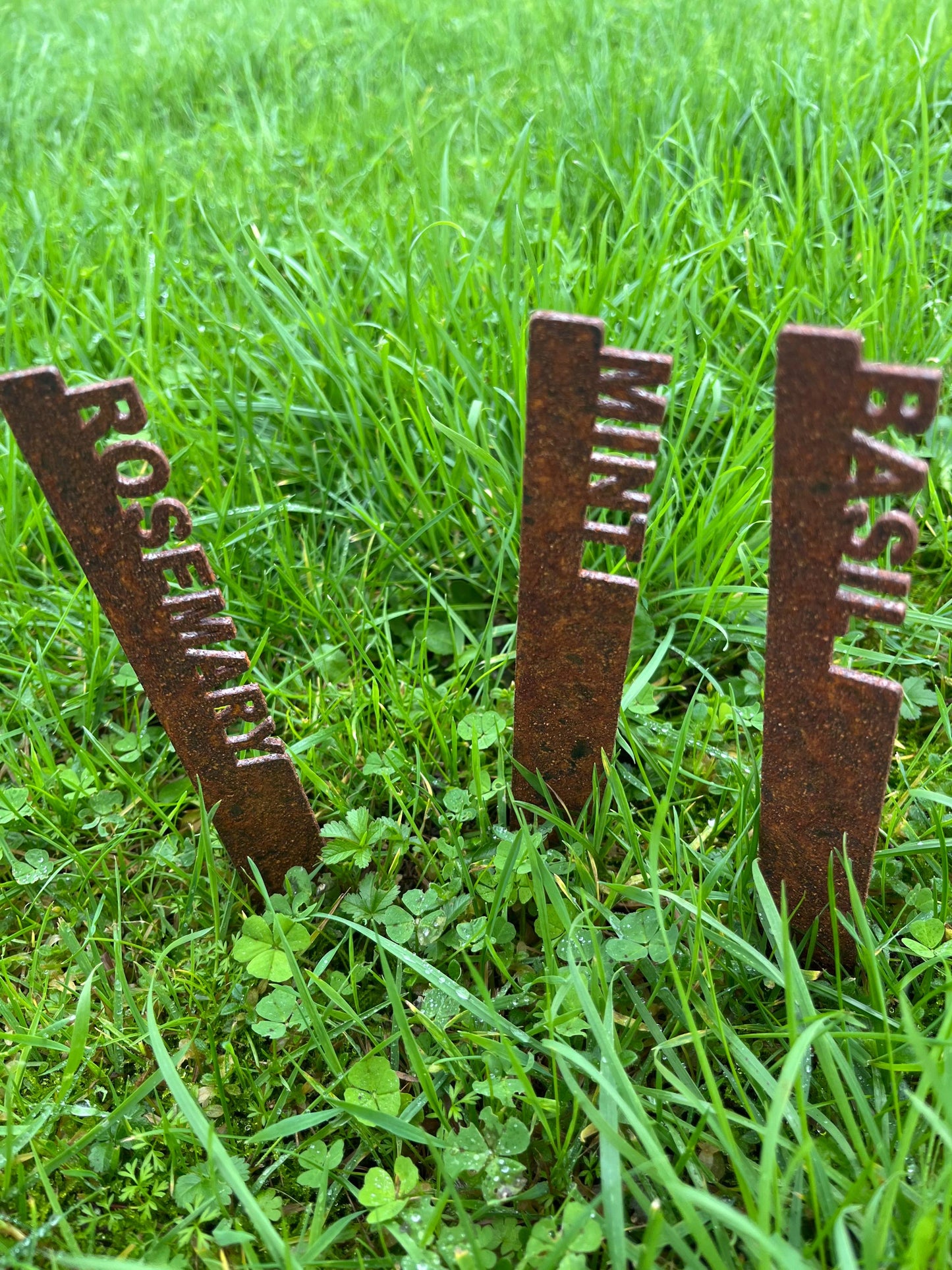 Solid Corten Steel Plant label Tags - Metal Herb & Vegetable Tags