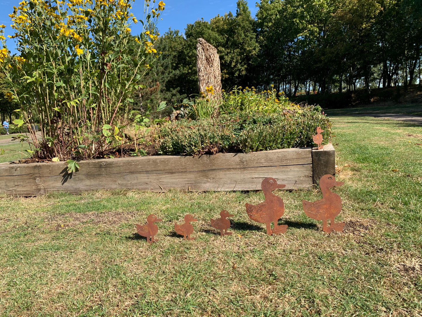 Ducks in a row - Corten